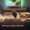 Philips 48OLED819 48" OLED + Regalo Barra de Sonido Philips TAB6309/10