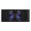 NOX Hummer X-240 LCD Flüssigkeitskühlung 2 RGB Lüfter 240mm Kupferbasis