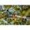 Gardena Starcut 410 Plus Astschneider 4m