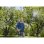 Gardena 11138-20 Gartensprüher Rucksack-Gartenspritzer 5 l
