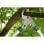Gardena 12006-20 Baumschere Bypass-Astschere