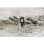 Laser-Entfernungsmesser Leica DISTO X3 IP65 0,05-150 m Genauigkeit ±1 mm AA-Batterie