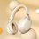 Kinsi MS-B2 Auriculares Inalámbricos Bluetooth de Oficina con Micrófono Plegable Giratorio Rojos