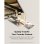 Lexar JumpDrive Memoria USB 256 GB USB Tipo C/USB 3.2 Gris