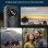 Doogee S Cyber 8/256GB Rojo Libre
