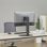 Aisens Soporte Monitor TV Mesa 17 à 32" VESA 75x75 à 100x100 Max 8Kg Noir