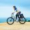 Shengmilo MX06 Bicicleta Eléctrica 500W 48V 17.5Ah Autonomía 60Km con Pantalla LCD Blanca