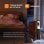 Aigostar Radiador de Aceite de 13 Elementos 2500W con Pantalla de Control LED Negro