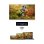 Thomson 40QG4C14 40" QLED FullHD Google TV