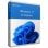 Digitaler Download von Microsoft Windows 11 Enterprise
