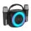 Cool Mini Karaoke Party Enceinte Bluetooth Portable 6W + 2 Microphones Noir