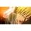 Bleach Rebirth of Souls PS5