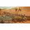 Monster Hunter Wilds Lenticular Edition Xbox Series X