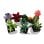 LEGO Icones Collection Botanique Succulentes 10309 771 pièces