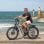 Shengmilo S600-10 Bicicleta Eléctrica de Montaña 26'' para Adultos 2000W con Motor Dual 17.5Ah 840Wh Gris