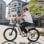 Shengmilo S600-10 Bicicleta Eléctrica de Montaña 26'' para Adultos 2000W con Motor Dual 17.5Ah 840Wh Gris