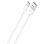 Cooles universelles USB-C-Wandladegerät 12W Weiß
