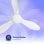Ventilateur de plafond AIRBLISS CEILING 25WW WIFI d'origine, 106 cm, moteur CC, 25 W, avec éclairage et télécommande, WIFI, blanc