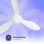 Origial AIRBLISS CEILING 25WW WIFI Ventilador de Techo 106cm Motor DC 25W con Luz y WiFi Blanco