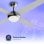 Ventilateur de plafond original AIRBLISS CEILING 25WIN WIFI, 106 cm, moteur CC, 25 W, avec éclairage et télécommande, WIFI, acier inoxydable