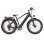 Engwe E26 Bicicleta Eléctrica, Motor De 250w, Batería De 48v 16ah, Neumáticos De 26pulgadas, Gris