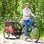 Homcom Remolque De Bicicleta Para Niños +18 Meses De 2 Plazas 140x88x90 Cm Rojo