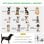Pawhut Remolque De Bicicleta Perros Con Puertas Bandera Y 6 Reflectores Verde