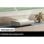 Projetor Samsung SP-LPU7DSAX 4K UHD 2500 Lúmenes 120" Laser DLP Smart TV Ultracurto