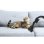 Hoover H-ENERGY 700 HE720PET 011 Aspirador Cilíndrico 6 L 850 W com Saco para o Pó