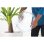 Candy Smart Pro CSOE C10TE-S Secadora Independiente Carga Frontal 10 Kg B Blanco