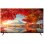 Haier H50K800UX 50" LED UltraHD 4K HDR10 Google TV