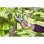 Tijeras De Podar Gardena Smartcut Gris (8798-20)