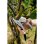 Tijeras De Podar Gardena Smartcut Gris (8798-20)