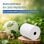 iggual Pack 50 Rollos Papel Térmico sin BPA 80x80mm