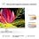 HP Série 5 527sh 27" LED IPS FullHD 100Hz Altura Ajustável