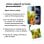 Cool Funda Magnética Transparente para iPhone 16 - Personalizable