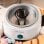 Cecotec Fun&Sugar Riscaldatore per marshmallow 270 W in acciaio inox