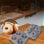 Set di Forme in Silicone Cecotec Cecofry SweetBake Antiaderenti senza BPA per Ciambelle e Muffin