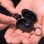 Casque sans fil JLab JBuds Mini Noir