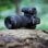 Canon RF 100-400mm F5.6-8 IS USM MILC Téléobjectif Noir