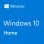 Microsoft Windows 10 Home Licencia Permanente FPP Descarga Digital