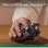 Logitech MX Ergo S Ratón Inalámbrico Bluetooth Trackball 2000 DPI Grafito