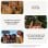 Google Pixel 9a Smartphone 6.3" 8GB/128GB Dual SIM 5G 5100mAh Obsidiana