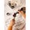 Create Thera Retro Cafetera Express Semiautomática Café Molido Y Monodosis 1,25L 1100W Blanco
