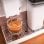 Cecotec Cremmaet Compactccino Connected Cafetera Superautomática 19B WiFi + WiZ Enchufe Inteligente