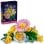 Lego Botanicals Ramillete Rayos de Sol, Kit de Construcción y Decoración Floral DIY +9 Años