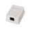 Aisens A139-0301 RJ45 Cat6 Roseta de Superfície 1 Tomada Branca