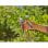 Tijeras De Podar Gardena Premiumcut 22mm - 12241-20