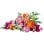 Lego Botanicals Ramo de Flores Fantasía en Rosa, Decoración Floral para Adultos, Margaritas y Rosas