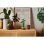 Lego Botanicals Bambú de la Suerte, Planta Artificial y Decoración Hogar para Adultos
